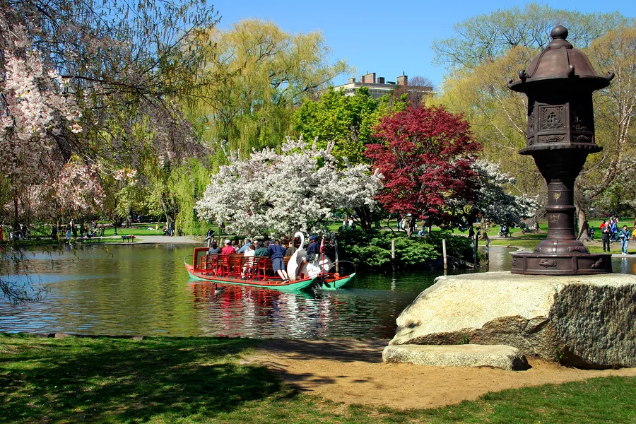Boston Public Garden